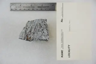 Pararammelsbergite (46995680055).jpg