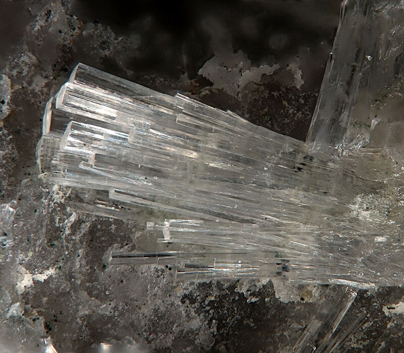 Parascholzite