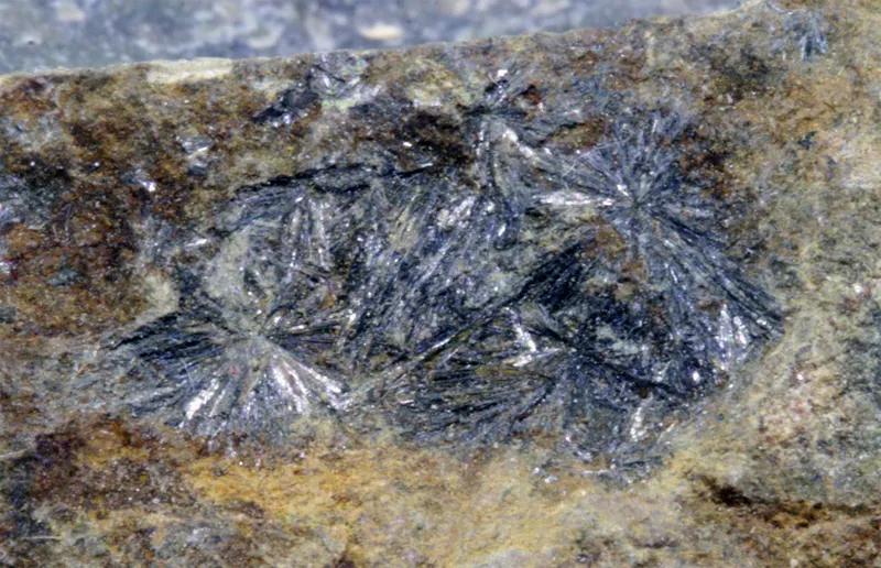 Parasymplesite Asturias.jpg