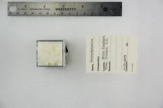 Parasymplesite (48603386602).jpg