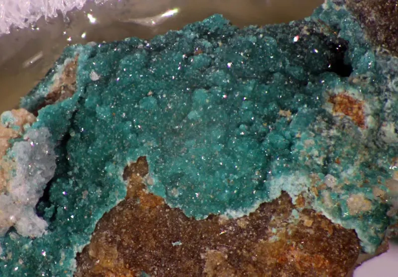 Paratacamite-(Mg).jpg