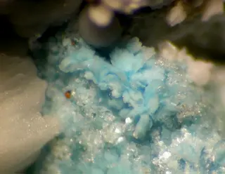 Paratooite-(La)-132876.jpg