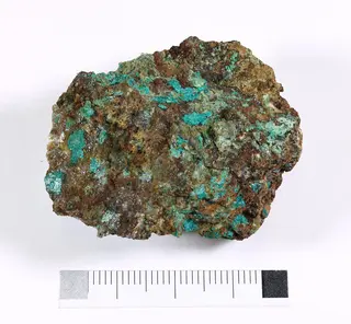 Parnauit 21357 1.jpg