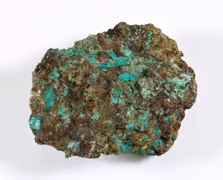 Parnauit 21357 2.jpg