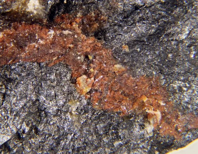 Parsettensite.jpg