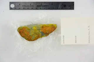 Pascoite (48140078582).jpg
