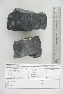 Patronite (46963779724).jpg