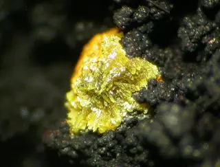 Pattersonite-166251.jpg