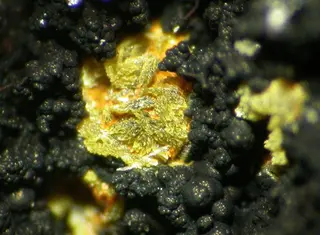 Pattersonite-166252.jpg