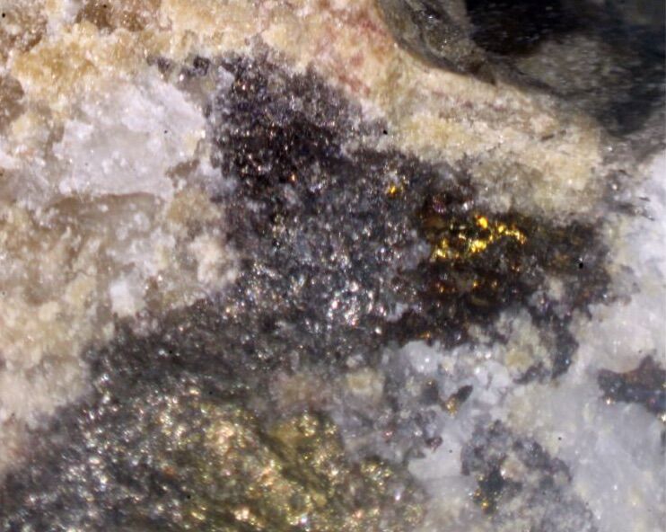 Pavonite