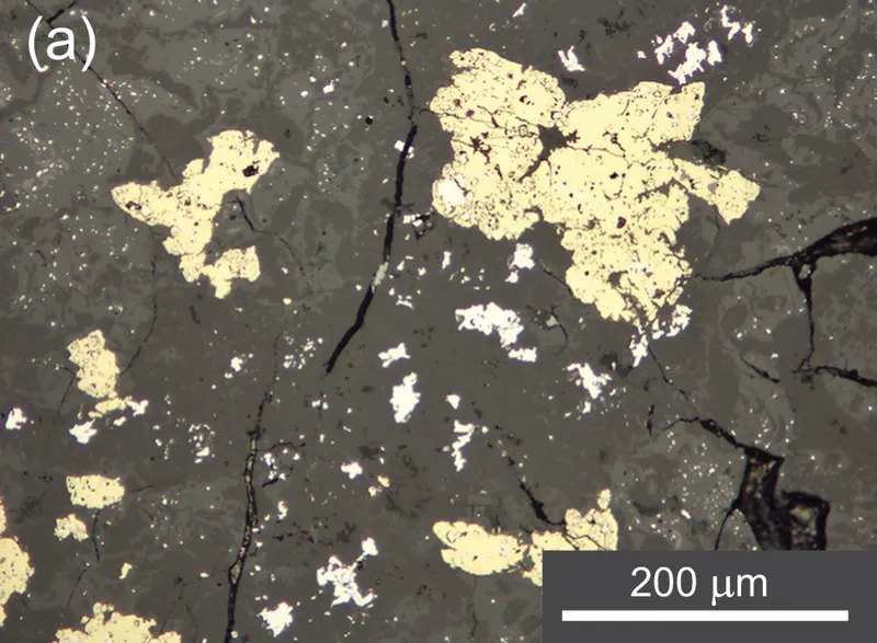 Reflected light image of selenodantopaite (a).png