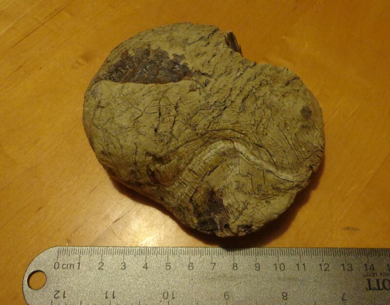 Pecoraite