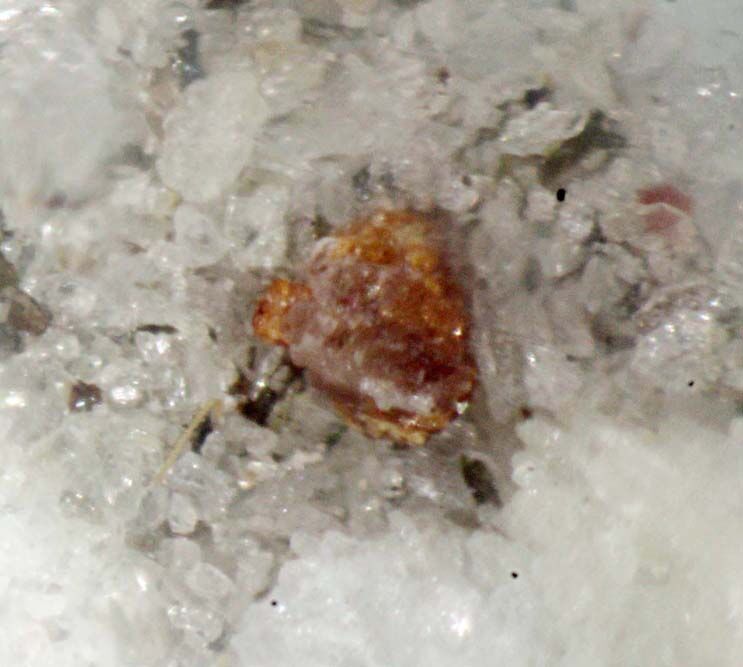 Perraultite