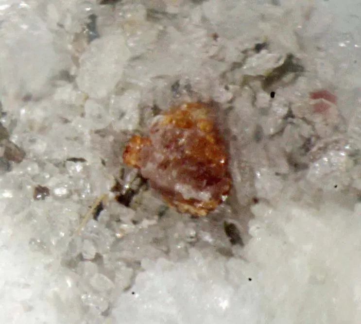 Perraultite.jpg