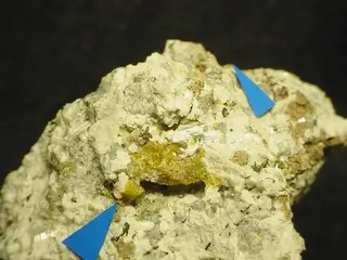Petarasite-20272.jpg