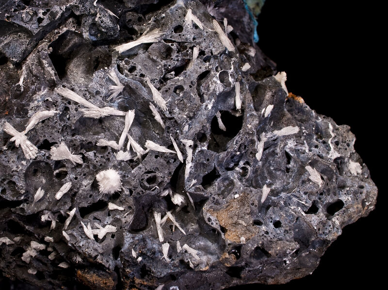 Pharmacolite