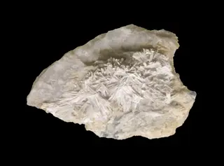 Pharmacolite (Sainte-Marie-aux-Mines)-Musée de minéralogie de Strasbourg.jpg