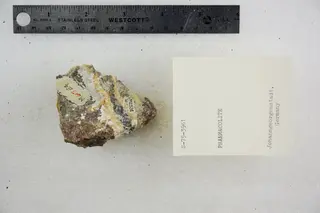 Pharmacolite (48522497711).jpg