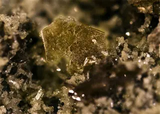PhlogopiteMonteSommaIII.jpg