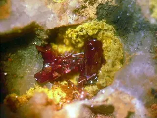 Phoenicochroite, Seeligerite, Wulfenite-227451.jpg