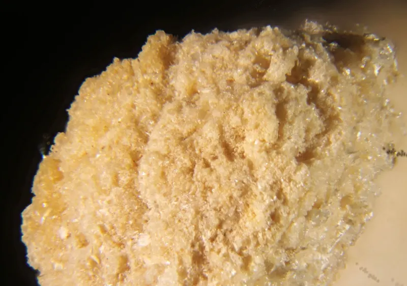 Phosphammite.jpg