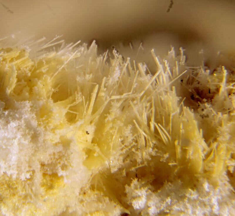 Phosphorrösslerite