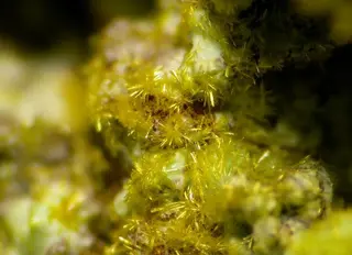 Phurcalite-107039.jpg