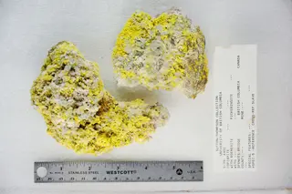 Pickeringite (48904895607).jpg