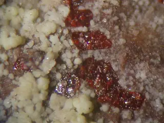 Ronneburgite, Picromerite - open pit Lichtenberg, Ronneburg, Thuringia.jpg