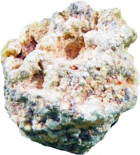 Picromerite1.jpg