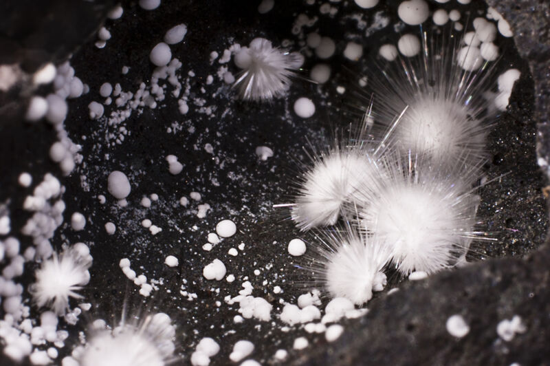Picropharmacolite