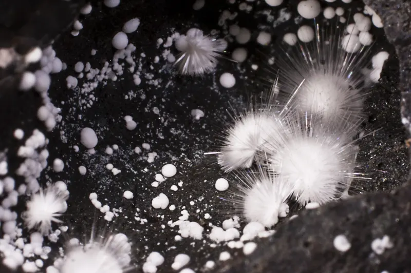 Picropharmacolite and Sainfieldite.jpg