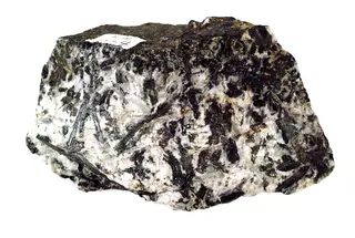 Pigeonite in feldspar (GeoDIL number - 1606).jpg