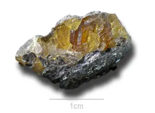 PigotiteAngleterre Saint-SevanInventiaire801880 Lamiot MuséumHistoireNaturelleLilleGLAM2016a2.jpg