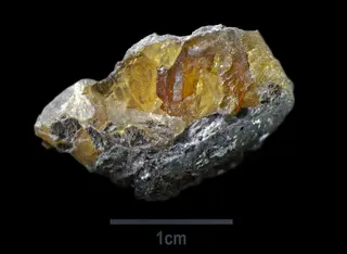 PigotiteAngleterre Saint-SevanInventiaire801880 Lamiot MuséumHistoireNaturelleLilleGLAM2016a.jpg