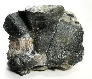 Pinite-33956.jpg