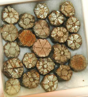 Cherry blossom stones (pinite) (muscovite mica replacing intergrown cordierite-indialite) (mid-Cretaceous, 98 Ma; Kameoka, Honshu Island, Japan) 4.jpg