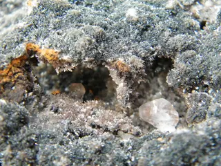 Plattnerite-387073.jpg