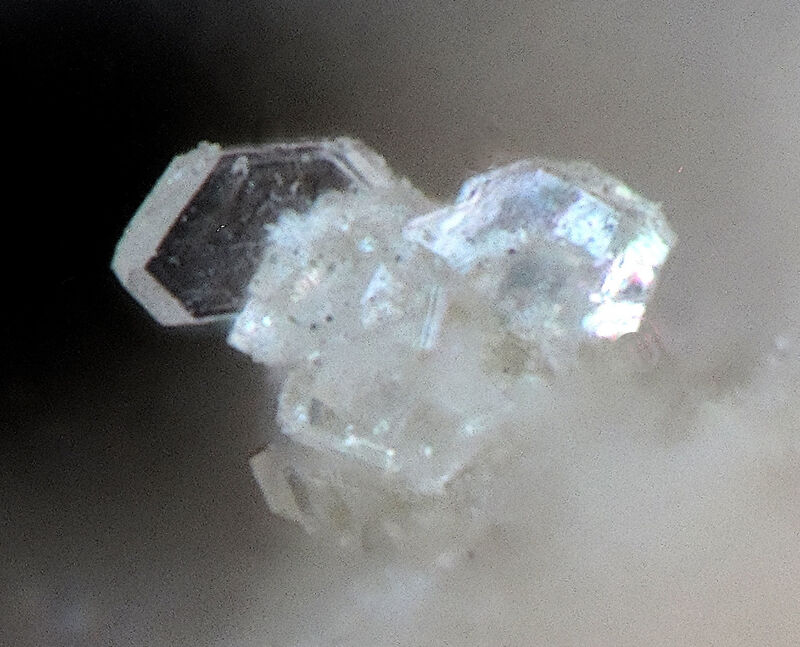 Pleysteinite