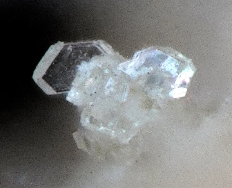 Pleysteinite-1297349.jpg