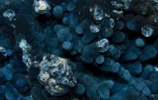 Plumbogummite 21207.jpg