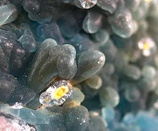Plumbogummite-pg2b.jpg