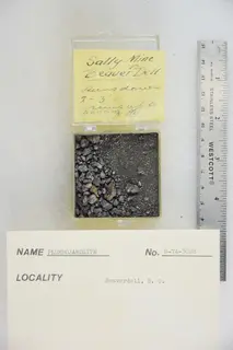 Plumbojarosite (48140195282).jpg