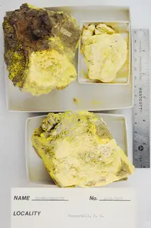 Plumbojarosite (48140131593).jpg