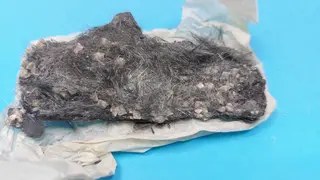 878 Plumosit 1.jpg