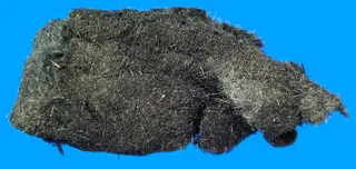 Plumosite (GeoDIL number - 1283).jpg