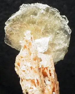 Polylithionite-Serandite-20566.jpg