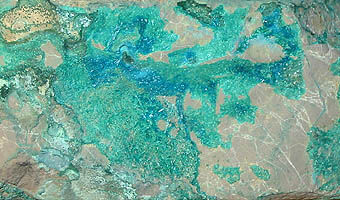 Posnjakite