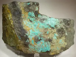 Posnjakite-54591.jpg