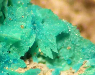 Posnjakite-46637.jpg